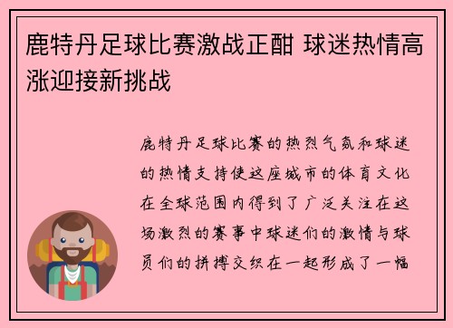 鹿特丹足球比赛激战正酣 球迷热情高涨迎接新挑战