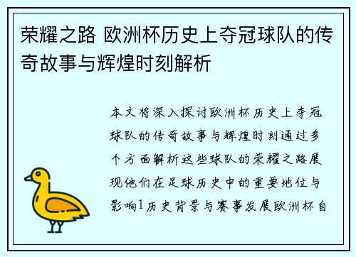 荣耀之路 欧洲杯历史上夺冠球队的传奇故事与辉煌时刻解析