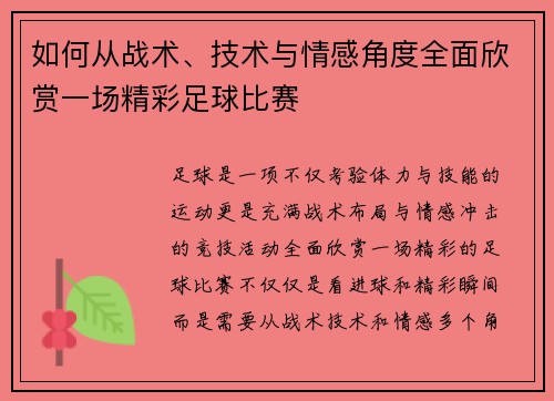 如何从战术、技术与情感角度全面欣赏一场精彩足球比赛