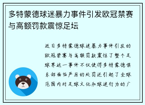 多特蒙德球迷暴力事件引发欧冠禁赛与高额罚款震惊足坛