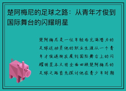 楚阿梅尼的足球之路：从青年才俊到国际舞台的闪耀明星