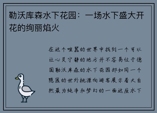 勒沃库森水下花园：一场水下盛大开花的绚丽焰火
