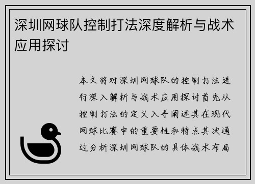 深圳网球队控制打法深度解析与战术应用探讨