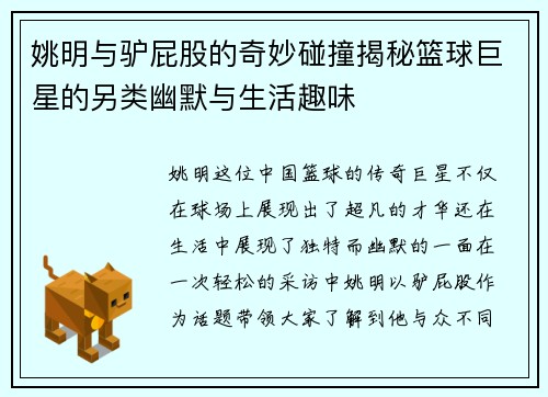 姚明与驴屁股的奇妙碰撞揭秘篮球巨星的另类幽默与生活趣味