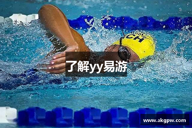 了解yy易游